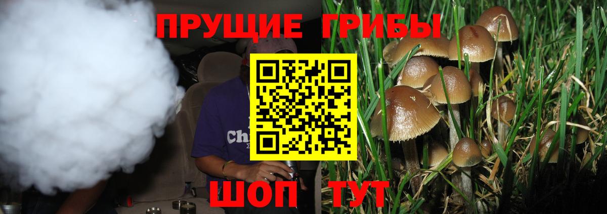 Кольчугино  Псилоцибиновые грибы мицелий  Вход с VPN 